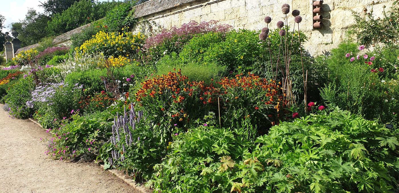 A long herbaceous border in full summer flower beside a stone wall